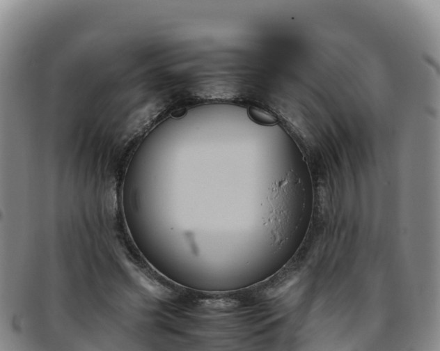 X0000096460541200801311514