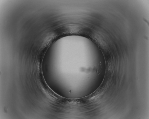 X0000096460542200801311514