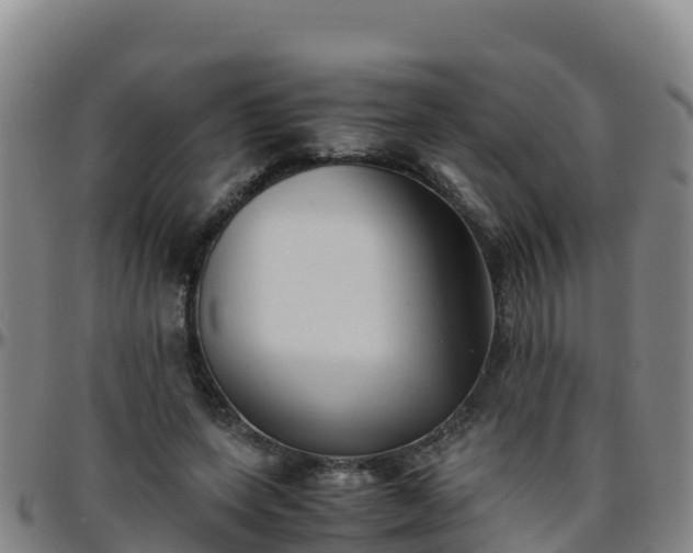 X0000096460543200801311514