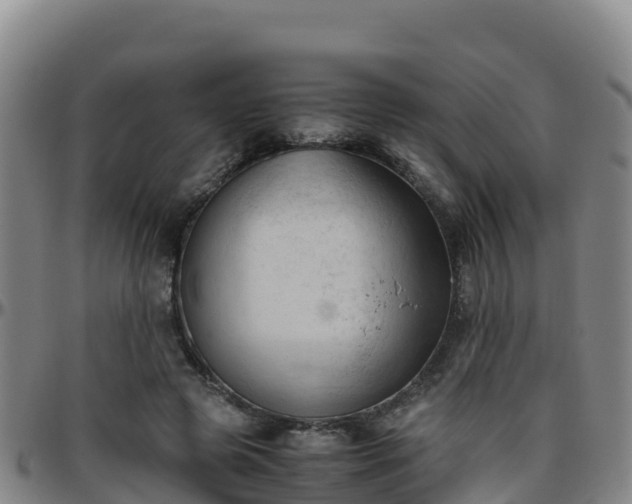X0000096460545200801311514