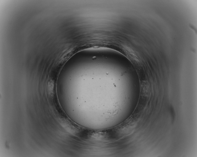 X0000096460550200801311514