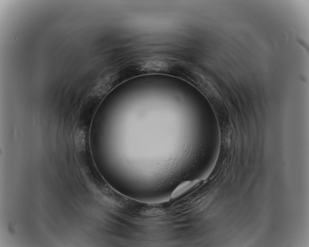 X0000096460551200801311514