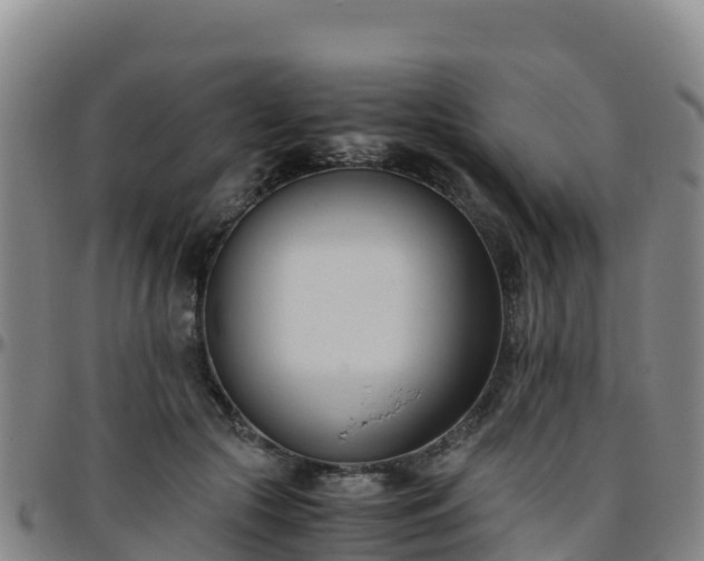 X0000096460553200801311514