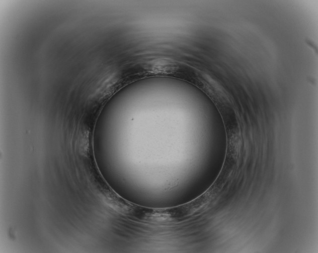 X0000096460554200801311514