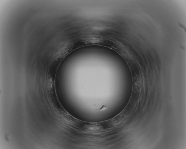 X0000096460555200801311514