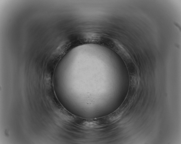 X0000096460557200801311514