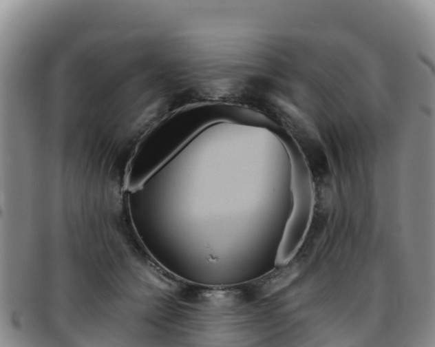 X0000096460558200801311514