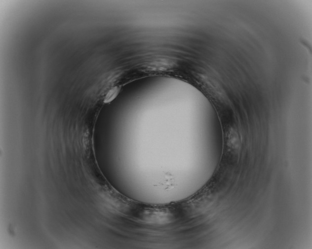 X0000096460559200801311514