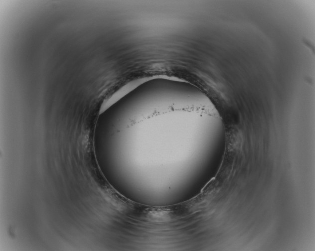 X0000096460560200801311514