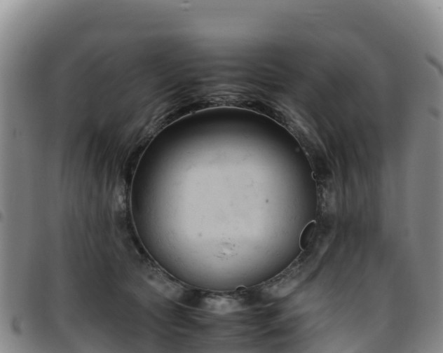 X0000096460561200801311514