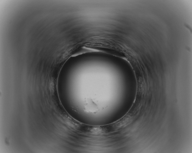 X0000096460562200801311514
