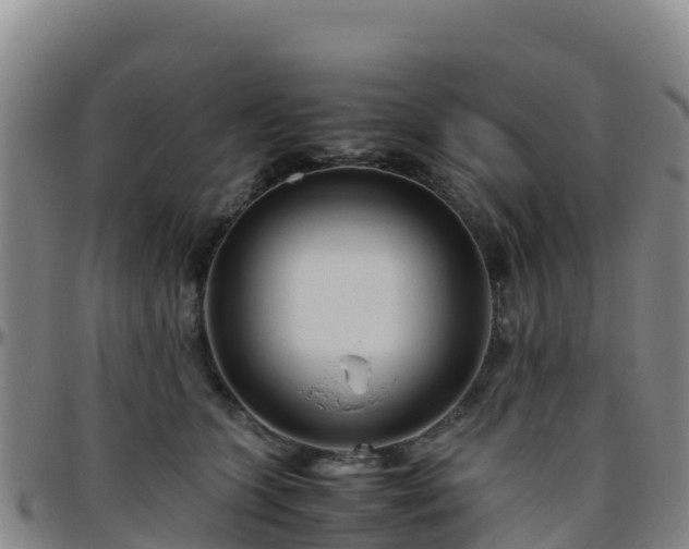 X0000096460563200801311514
