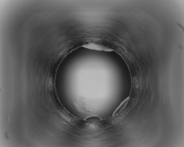 X0000096460564200801311514