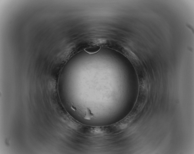 X0000096460565200801311514