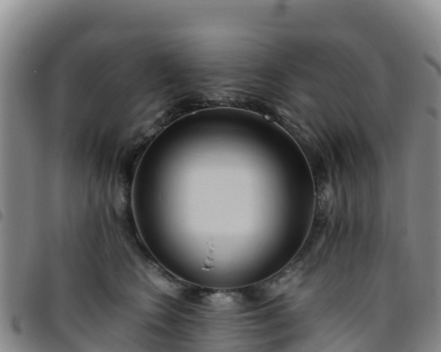 X0000096460566200801311514