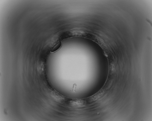X0000096460567200801311514