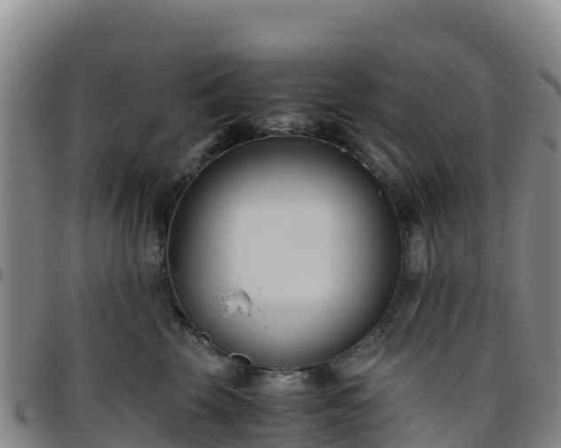 X0000096460569200801311514