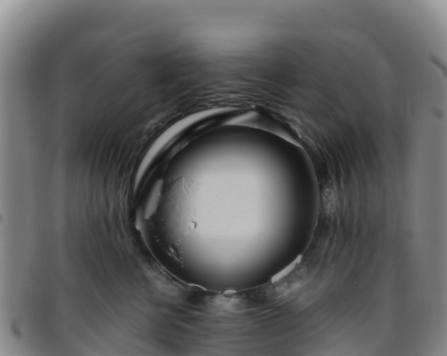 X0000096460570200801311514