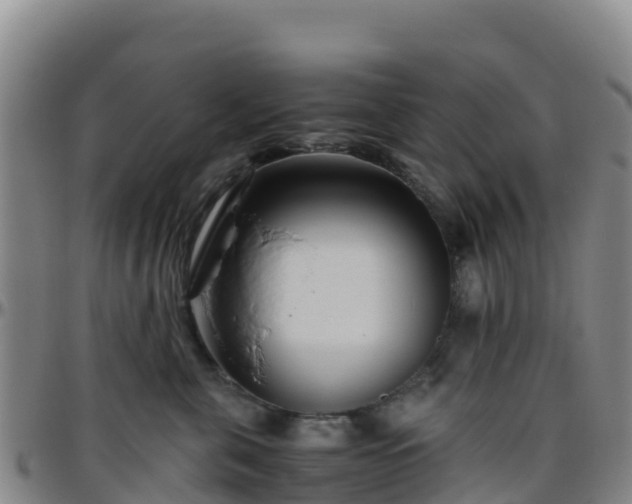 X0000096460571200801311514