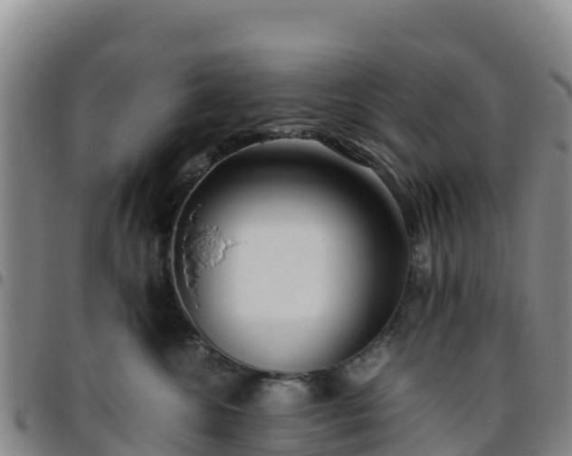 X0000096460572200801311514