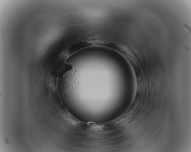 X0000096460573200801311514