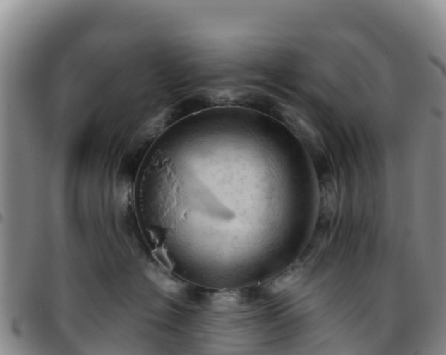 X0000096460574200801311514