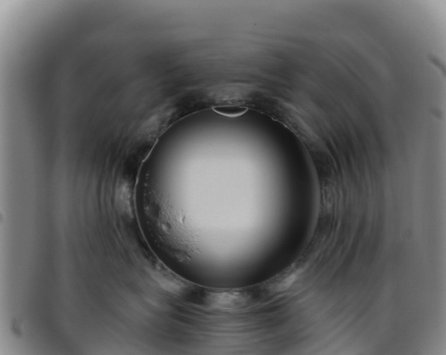 X0000096460575200801311514