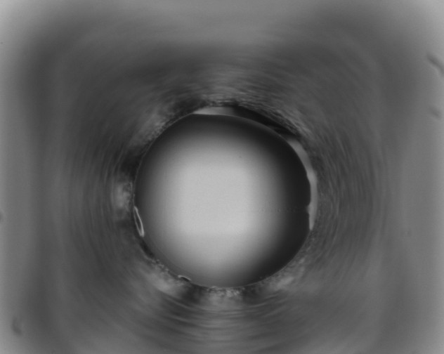 X0000096460576200801311514