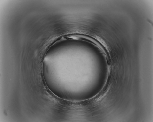 X0000096460577200801311514