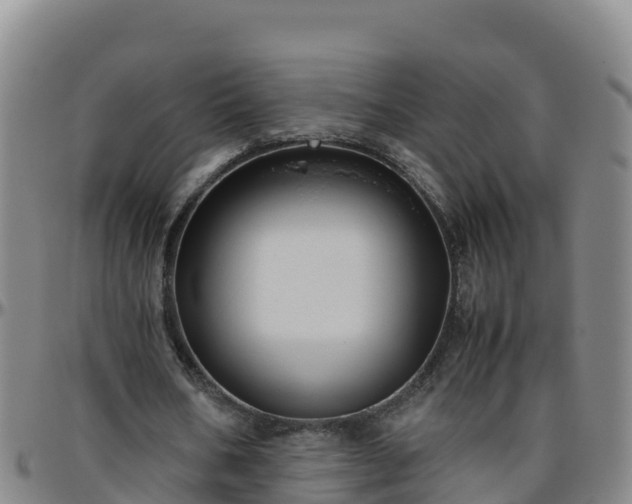 X0000096460578200801311514