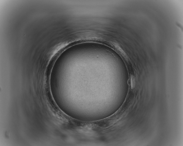X0000096460579200801311514