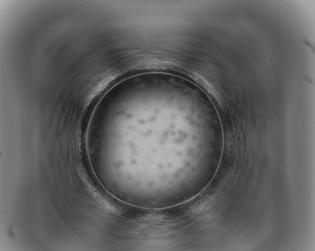 X0000096460581200801311514