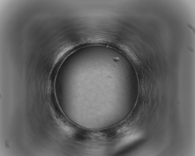 X0000096460583200801311514