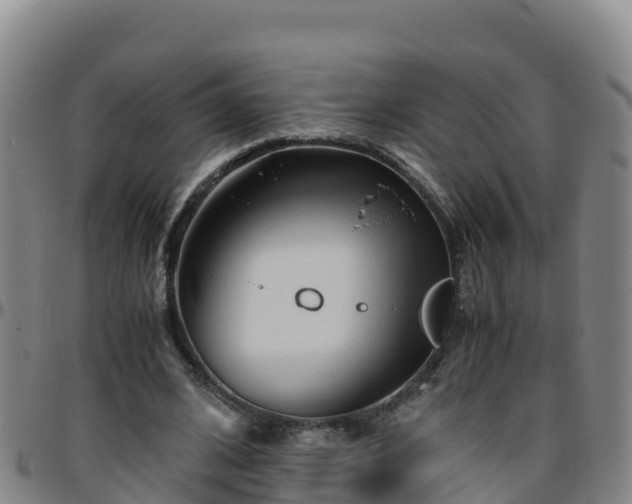 X0000096460584200801311514