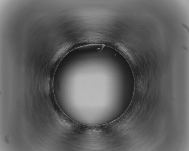 X0000096460586200801311514