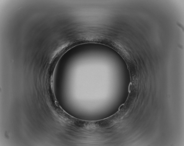 X0000096460587200801311514