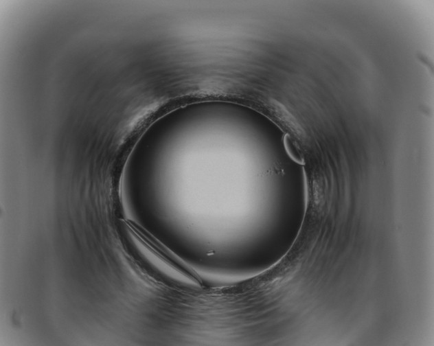 X0000096460588200801311514