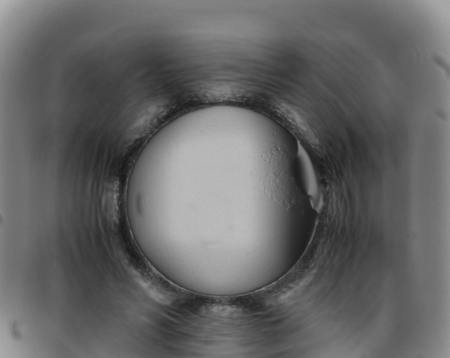 X0000096460590200801311514
