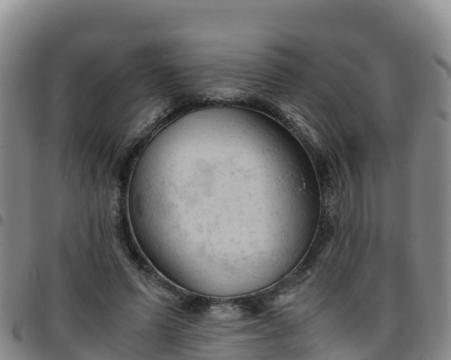 X0000096460591200801311514