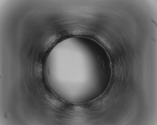 X0000096460592200801311514
