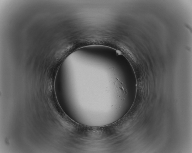 X0000096460593200801311514