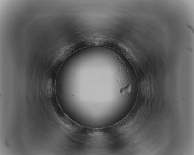 X0000096460594200801311514