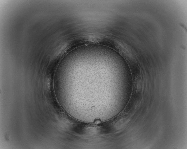 X0000096460595200801311514