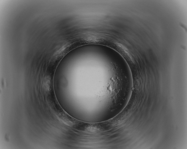X0000096460596200801311514