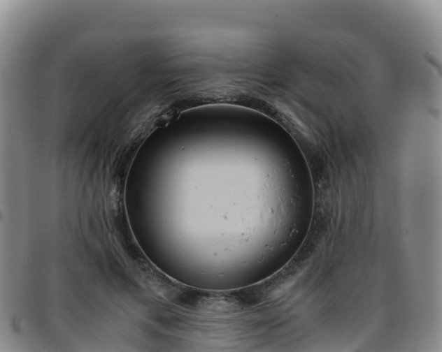 X0000096460597200801311514