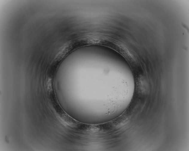 X0000096460598200801311514