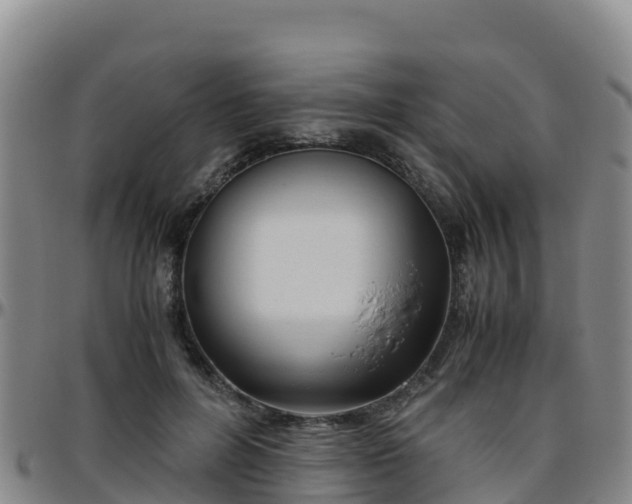 X0000096460600200801311513