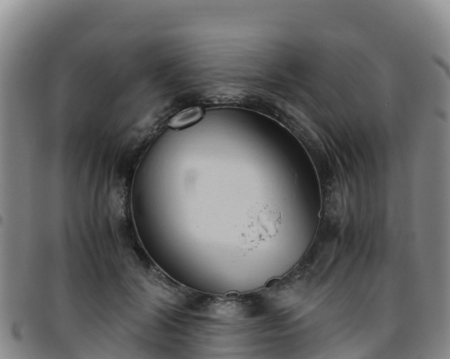 X0000096460604200801311513