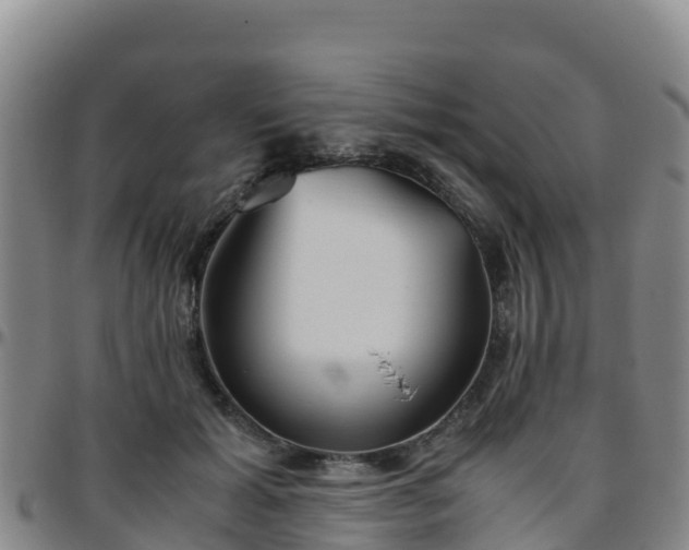X0000096460605200801311513