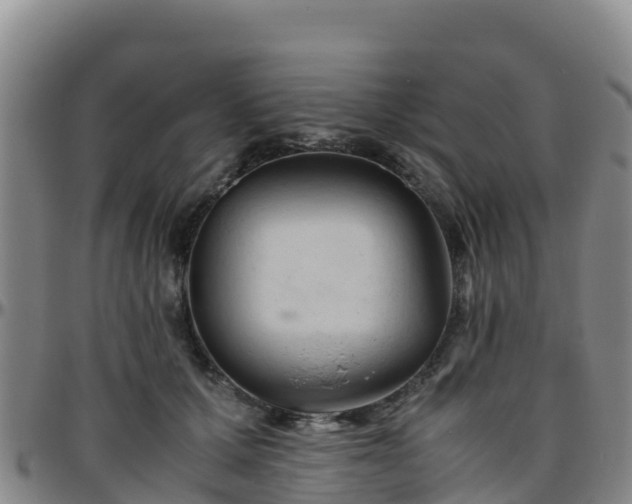 X0000096460607200801311513